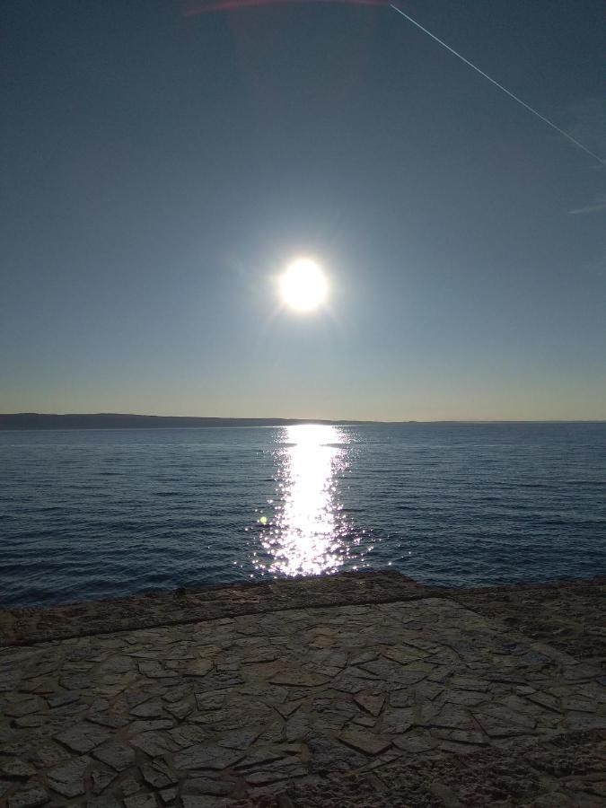 Villa Zora, Starigrad Paklenica, セリネ エクステリア 写真