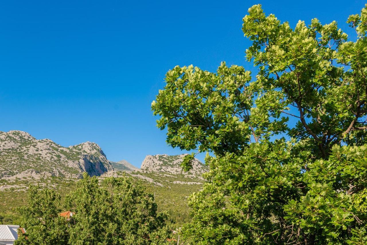 Villa Zora, Starigrad Paklenica, セリネ エクステリア 写真