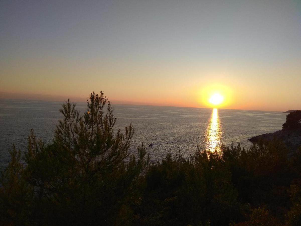 Villa Zora, Starigrad Paklenica, セリネ エクステリア 写真