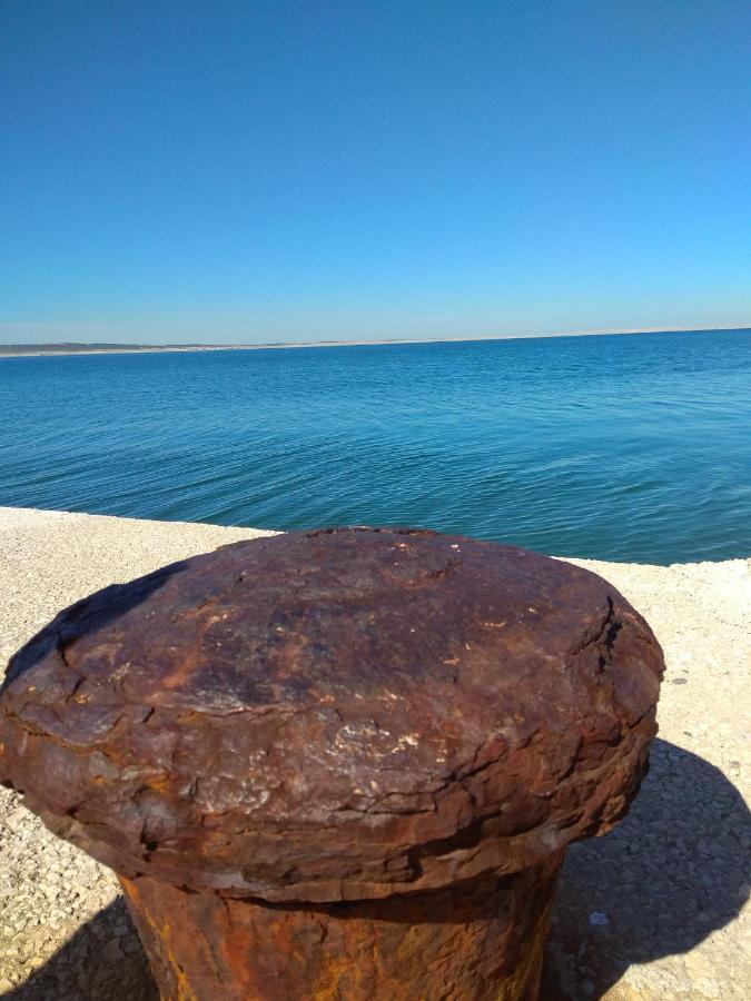 Villa Zora, Starigrad Paklenica, セリネ エクステリア 写真