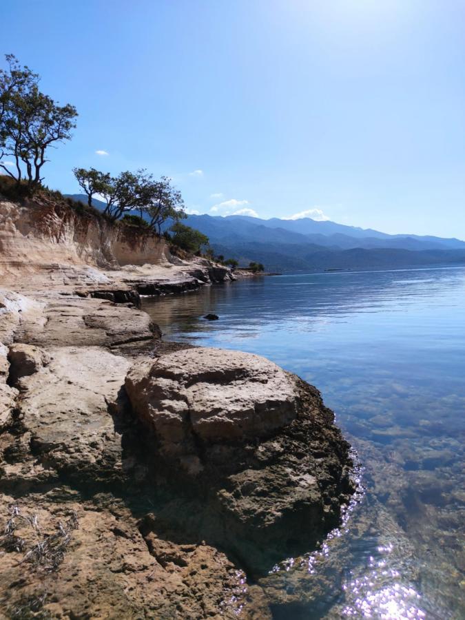 Villa Zora, Starigrad Paklenica, セリネ エクステリア 写真